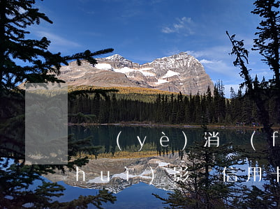 興業(yè)消費(fèi)金融逾期會(huì)影響信用卡嗎 興業(yè)消費(fèi)金融逾期了想要協(xié)商分期慢慢還可以嗎