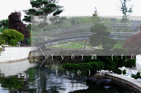 興業(yè)消費(fèi)金融逾期記錄(興業(yè)消費(fèi)金融逾期多久會(huì)聯(lián)系緊急聯(lián)系人)