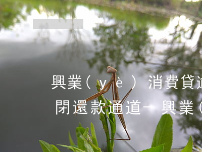 興業(yè)消費貸逾期被關(guān)閉還款通道-興業(yè)消費貸逾期被關(guān)閉還款通道怎么辦