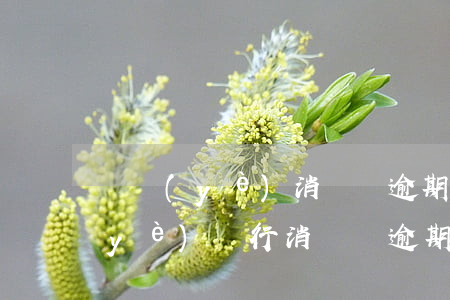 興業(yè)消費貸逾期起訴工商(欠興業(yè)銀行消費貸逾期了會被起訴嗎)
