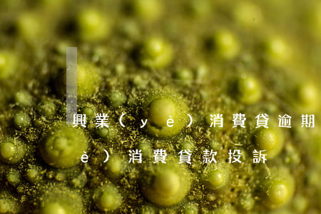 興業(yè)消費貸逾期起訴銀行(興業(yè)消費貸款投訴)