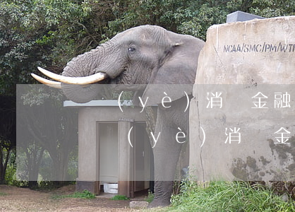 興業(yè)消費金融起訴到法院怎么處理?（興業(yè)消費金融逾期多久會被起訴）