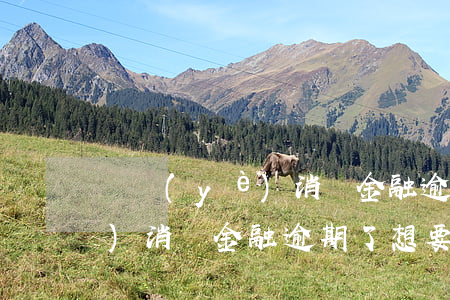 興業(yè)消費金融逾期還款(興業(yè)消費金融逾期了想要協(xié)商分期慢慢還可以嗎)