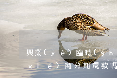 興業(yè)臨時(shí)額度可以協(xié)商分期還款嗎-興業(yè)臨時(shí)額度可以協(xié)商分期還款嗎