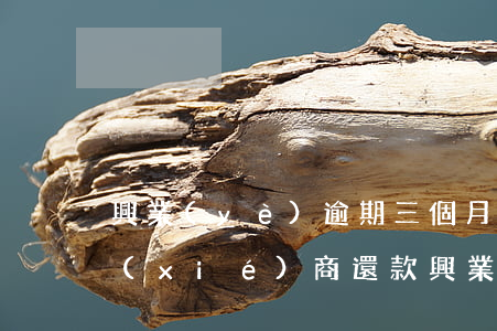 興業(yè)逾期三個月還能不能去銀行協(xié)商還款（興業(yè)銀行房貸逾期能協(xié)商還款）
