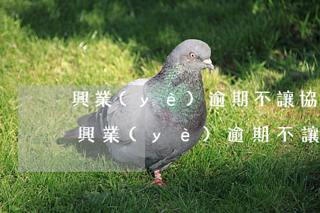 興業(yè)逾期不讓協(xié)商還款(興業(yè)逾期不讓協(xié)商還款)