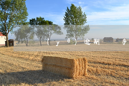 興業(yè)逾期兩萬多會(huì)起訴嗎