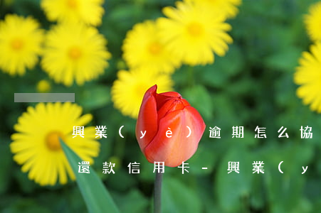 興業(yè)逾期怎么協(xié)商分期還款信用卡-興業(yè)逾期怎么協(xié)商分期還款信用卡的