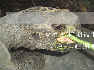 興業(yè)逾期被催收發(fā)律師函(興業(yè)逾期被催收發(fā)律師函)