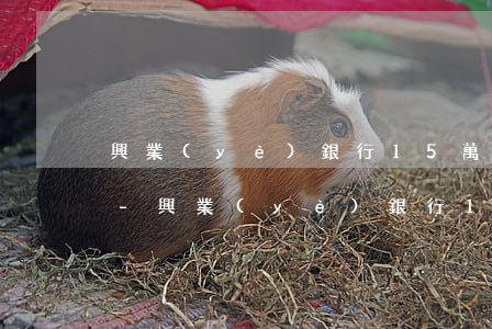 興業(yè)銀行15萬信用卡逾期怎么辦-興業(yè)銀行15萬信用卡逾期怎么辦理