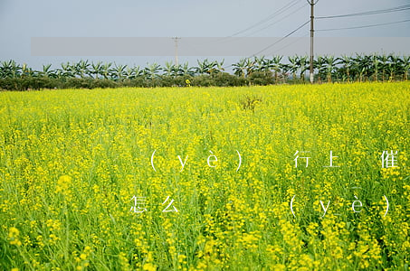 興業(yè)銀行上門催收了如果堅持不還會怎么樣（興業(yè)銀行逾期訴訟人員上門招商）