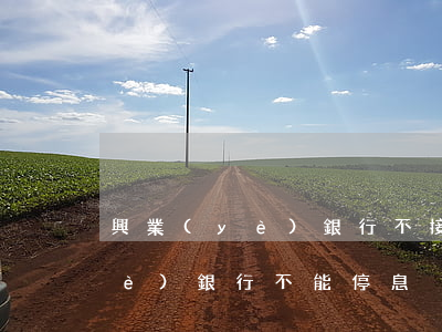 興業(yè)銀行不接受停息掛賬(興業(yè)銀行不能停息掛賬嗎)
