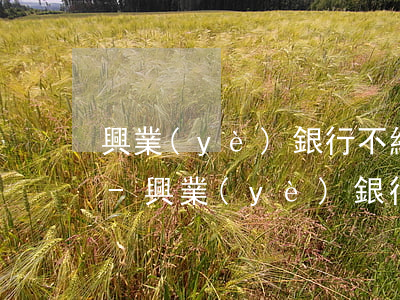 興業(yè)銀行不給查詢逾期金額和利息-興業(yè)銀行不給查詢逾期金額和利息怎么辦
