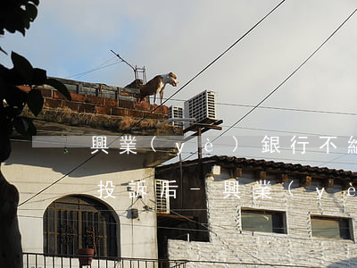 興業(yè)銀行不給辦理個性化分期黑貓投訴后-興業(yè)銀行不給辦理個性化分期怎么辦
