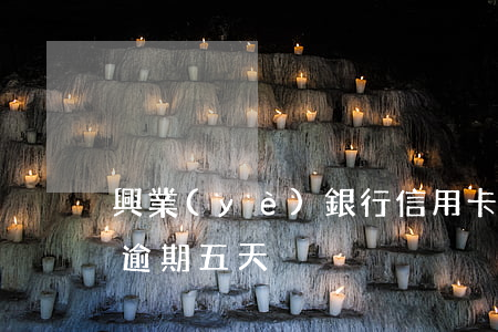 興業(yè)銀行信用卡2萬五逾期(信用卡逾期五天)