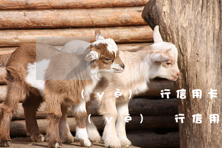 興業(yè)銀行信用卡中心逾期還了錢-興業(yè)銀行信用卡中心逾期還了錢怎么辦
