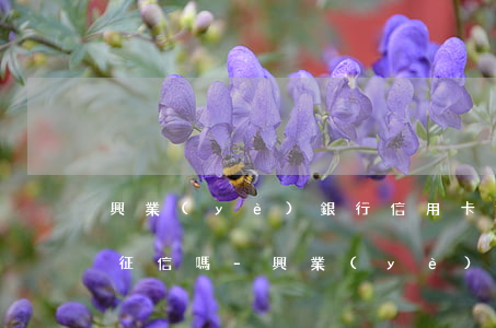興業(yè)銀行信用卡停息掛賬政策影響征信嗎-興業(yè)銀行信用卡停息掛賬政策影響征信嗎