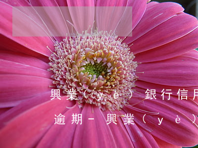 興業(yè)銀行信用卡十三萬(wàn)逾期-興業(yè)信用卡13萬(wàn)逾期