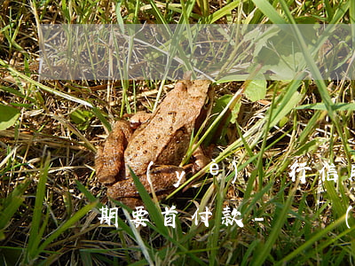 興業(yè)銀行信用卡協(xié)商分期要首付款-興業(yè)銀行信用卡協(xié)商分期要首付款嗎