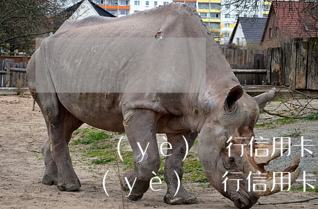 興業(yè)銀行信用卡協(xié)商(興業(yè)銀行信用卡協(xié)商還款)