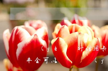 興業(yè)銀行信用卡協(xié)商還本金可以嗎-興業(yè)銀行信用卡協(xié)商還本金可以嗎