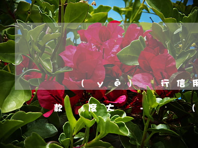 興業(yè)銀行信用卡協(xié)商還款難度大嗎-興業(yè)銀行信用卡協(xié)商還款難度大嗎知乎
