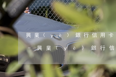 興業(yè)銀行信用卡如何查看賬單逾期-興業(yè)銀行信用卡如何查看賬單逾期記錄