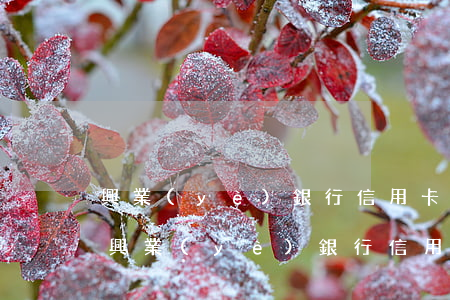 興業(yè)銀行信用卡推遲幾天算逾期-興業(yè)銀行信用卡推遲幾天算逾期嗎