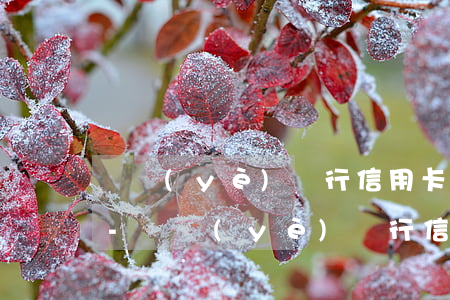 興業(yè)銀行信用卡有一次逾期怎么辦-興業(yè)銀行信用卡有一次逾期怎么辦理