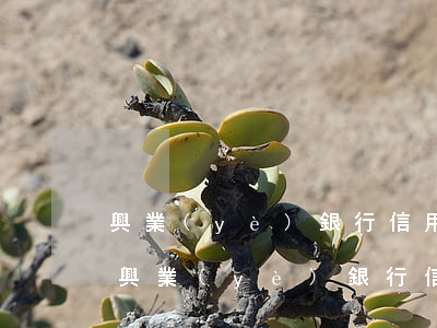 興業(yè)銀行信用卡無逾期被停(有沒有興業(yè)銀行信用卡逾期半年以上的)