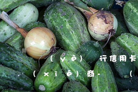 興業(yè)銀行信用卡逾期16萬怎么協(xié)商-興業(yè)銀行信用卡逾期16萬怎么協(xié)商還款