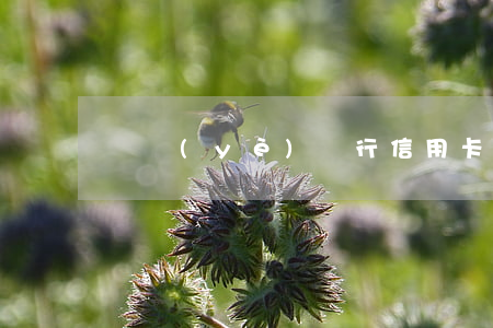 興業(yè)銀行信用卡逾期2900