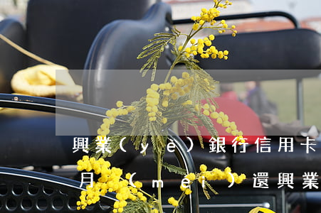 興業(yè)銀行信用卡逾期2個(gè)月沒(méi)還(興業(yè)銀行逾期還款幾天會(huì)影響征信嗎)