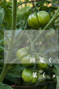 興業(yè)銀行信用卡逾期2萬要立案(興業(yè)銀行逾期三個月說要起訴我,然后凍結卡片)