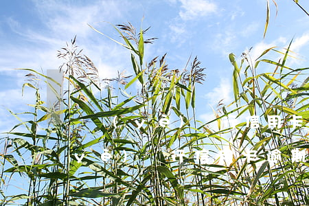 興業(yè)銀行信用卡逾期3個月(興業(yè)銀行信用卡逾期3個月會上門催收嗎)