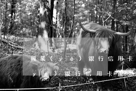 興業(yè)銀行信用卡逾期400(興業(yè)銀行信用卡逾期4000一年會上門嗎?)