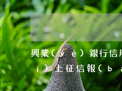 興業(yè)銀行信用卡逾期5天會(huì)上征信報(bào)告嗎-興業(yè)銀行信用卡逾期5天會(huì)上征信報(bào)告嗎
