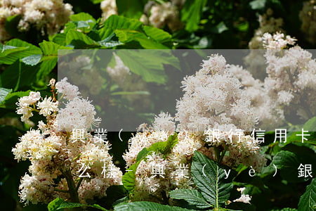 興業(yè)銀行信用卡逾期5天還款會怎么樣-興業(yè)銀行信用卡逾期5天還款會怎么樣