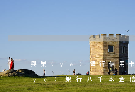興業(yè)銀行信用卡逾期5年(欠興業(yè)銀行八千本金信用卡逾期五年)