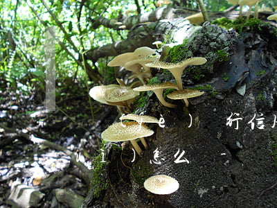 興業(yè)銀行信用卡逾期七萬多會(huì)怎么樣-興業(yè)銀行信用卡逾期七萬多會(huì)怎么樣嗎
