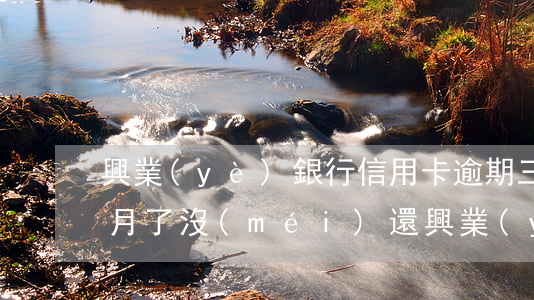興業(yè)銀行信用卡逾期三個(gè)月了沒(méi)還(興業(yè)銀行信用卡逾期三個(gè)月了沒(méi)還)