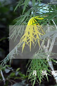 興業(yè)銀行信用卡逾期三個(gè)月被起訴-興業(yè)銀行信用卡逾期三個(gè)月被起訴怎么辦