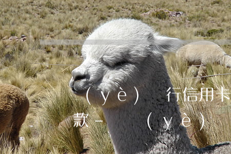 興業(yè)銀行信用卡逾期三天以內最低還款-興業(yè)銀行信用卡逾期三天以內最低還款利息