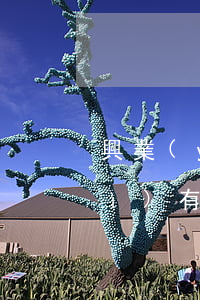 興業(yè)銀行信用卡逾期三天會(huì)有不良記錄-興業(yè)銀行信用卡逾期三天會(huì)有不良記錄嗎