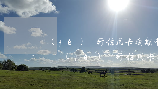 興業(yè)銀行信用卡逾期中行能知道嗎-興業(yè)銀行信用卡逾期中行能知道嗎安全嗎