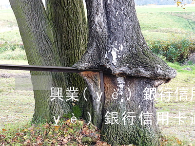 興業(yè)銀行信用卡逾期了一天(興業(yè)銀行信用卡逾期四天有沒有影響?)
