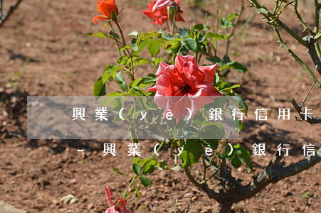 興業(yè)銀行信用卡逾期了要怎么處理-興業(yè)銀行信用卡逾期了要怎么處理呢