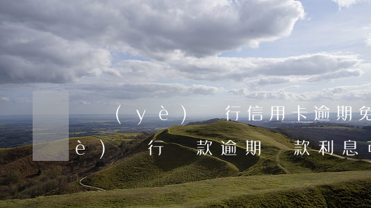 興業(yè)銀行信用卡逾期免息(興業(yè)銀行貸款逾期,還款利息可以免嗎)
