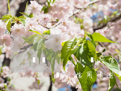 興業(yè)銀行信用卡逾期兩天(興業(yè)銀行信用卡逾期兩天會影響征信嗎)