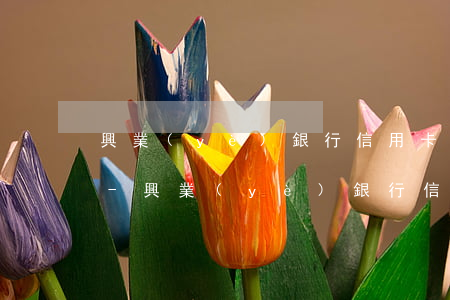 興業(yè)銀行信用卡逾期兩年起訴案例-興業(yè)銀行信用卡逾期兩年起訴案例分析